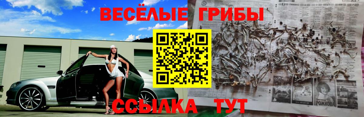 Баксан  Галлюциногенные грибы Psilocybine cubensis  где купить наркотик  Псилоцибиновые грибы мухоморы  Вход с VPN 