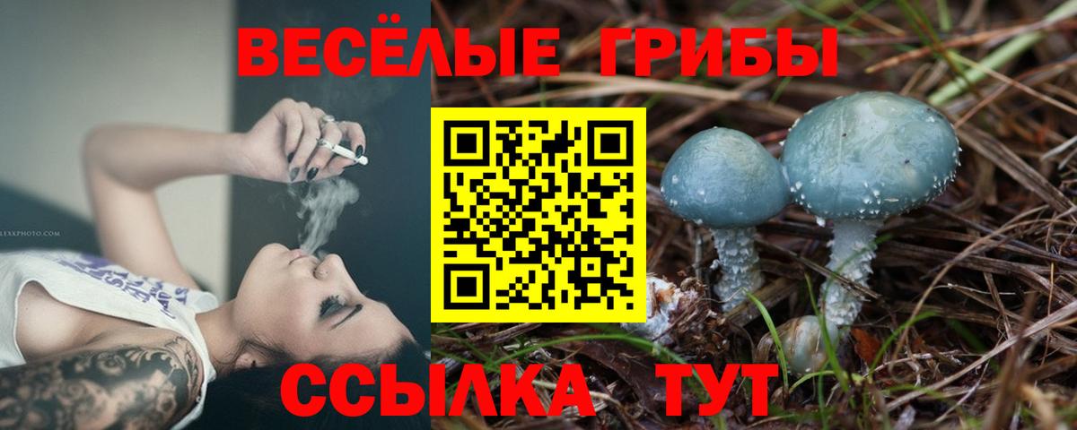 Псилоцибиновые грибы мицелий Баксан